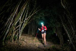 BIB: 
                            <button type="button" onclick="openModal(19393955)" class="btn btn-primary btn-sm float-right btn-popup" data-toggle="modal" data-target=".modal-high-quality">
                        <i class="fas fa-shopping-cart"></i> Add to Cart
                    </button>
                                            <button type="button" onclick="isThisMe(19393955, true)" class="btn btn-success btn-sm float-right btn-popup btn-isme hidden" data-toggle="tooltip" data-placement="bottom" title="นี่คือรูปของคุณใช่ไหม คลิกที่นี่เพื่อเอาเข้าอัลบั้ม">
                        <i class="fas fa-plus"></i> Add to album
                    </button>
                    <button type="button" onclick="isThisMe(19393955, false)" class="btn btn-warning btn-sm float-right btn-popup btn-isnotme hidden">
                        <i class="fas fa-ban"></i> Remove from album
                    </button>